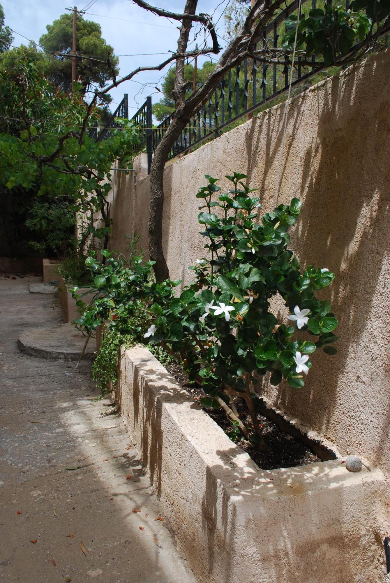 Sunset Rooms Agia Marina  Exterior photo